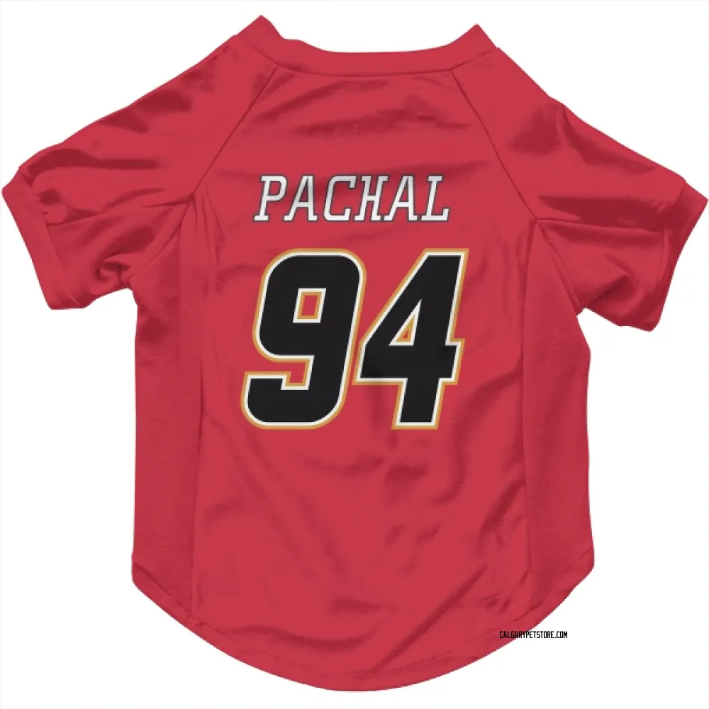 Calgary Flames Brayden Pachal Red Black Pet Jersey for Dog & Cat
