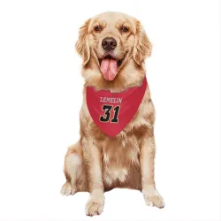 Calgary Flames Rejean Lemelin Red Black Pet Bandana for Dog & Cat